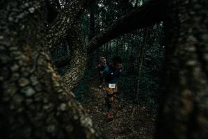 BIB: 
                            <button type="button" onclick="openModal(25688534)" class="btn btn-primary btn-sm float-right btn-popup" data-toggle="modal" data-target=".modal-high-quality">
                        <i class="fas fa-shopping-cart"></i> Add to Cart
                    </button>
                                            <button type="button" onclick="isThisMe(25688534, true)" class="btn btn-success btn-sm float-right btn-popup btn-isme hidden" data-toggle="tooltip" data-placement="bottom" title="นี่คือรูปของคุณใช่ไหม คลิกที่นี่เพื่อเอาเข้าอัลบั้ม">
                        <i class="fas fa-plus"></i> Add to album
                    </button>
                    <button type="button" onclick="isThisMe(25688534, false)" class="btn btn-warning btn-sm float-right btn-popup btn-isnotme hidden">
                        <i class="fas fa-ban"></i> Remove from album
                    </button>